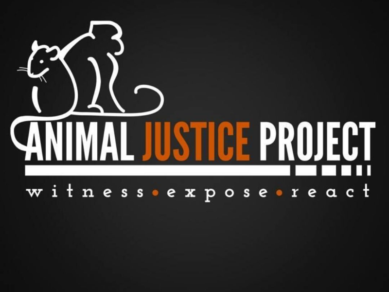 Animal Justice Project